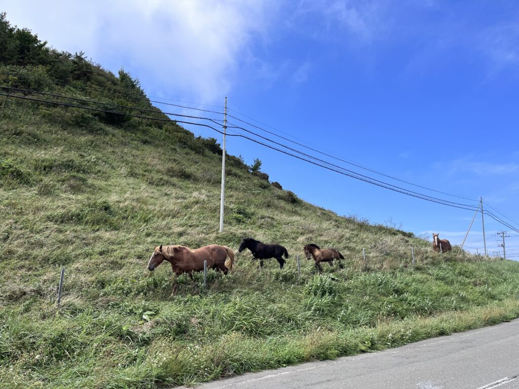 Shimokita - Viajes en moto en Japón por carreteras panorámicas entre montañas, costa y naturaleza intacta